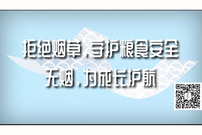 国产肥bb拒绝烟草，守护粮食安全